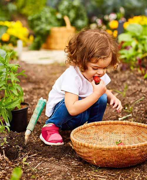 Activité estivale pour votre bébé